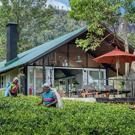 Madulkelle Tea And Eco Lodge Канди Екстериор снимка