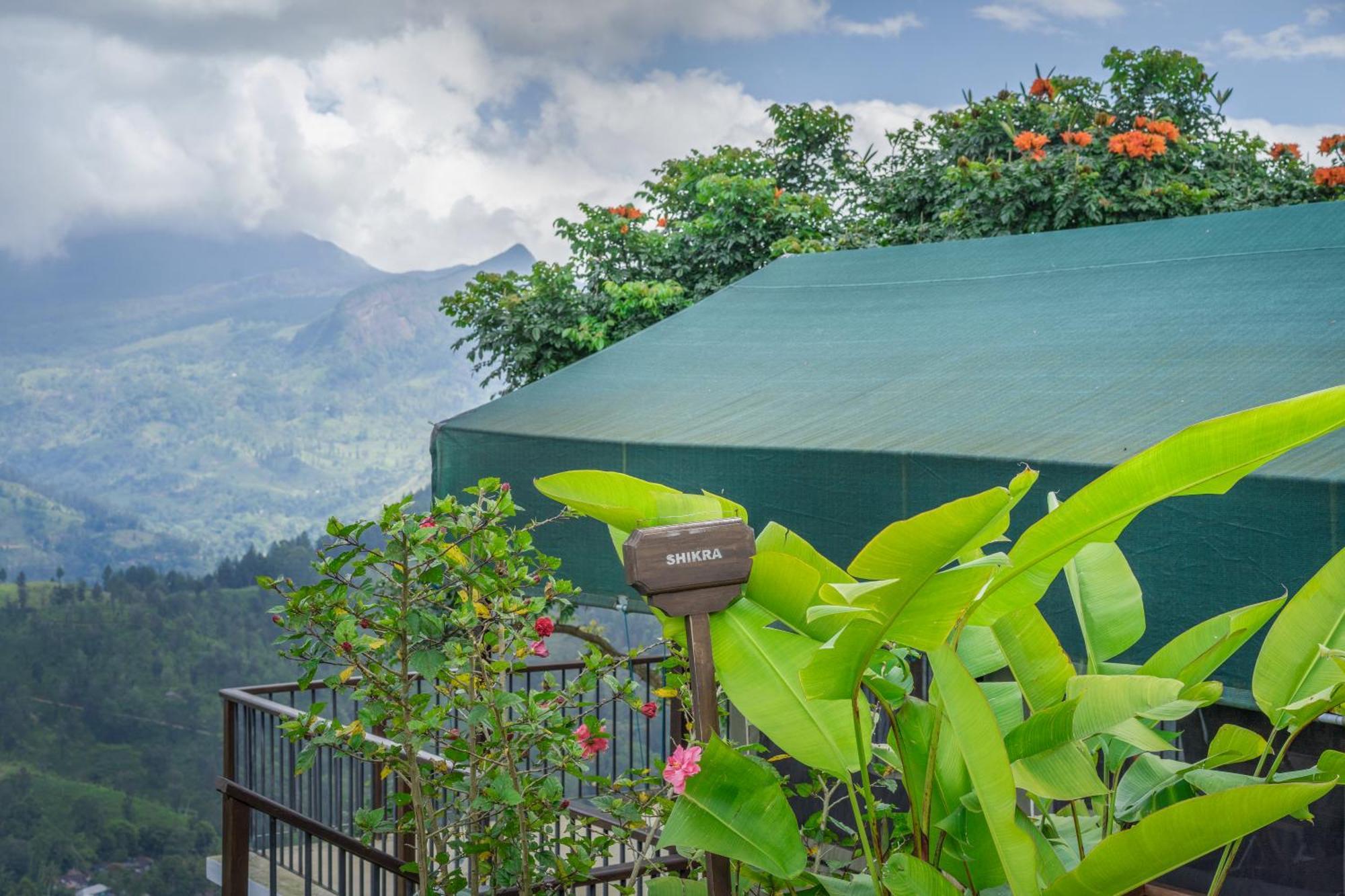Madulkelle Tea And Eco Lodge Канди Екстериор снимка