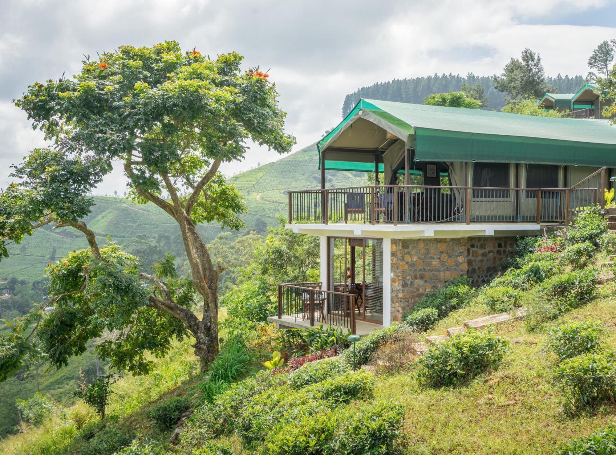 Madulkelle Tea And Eco Lodge Канди Екстериор снимка
