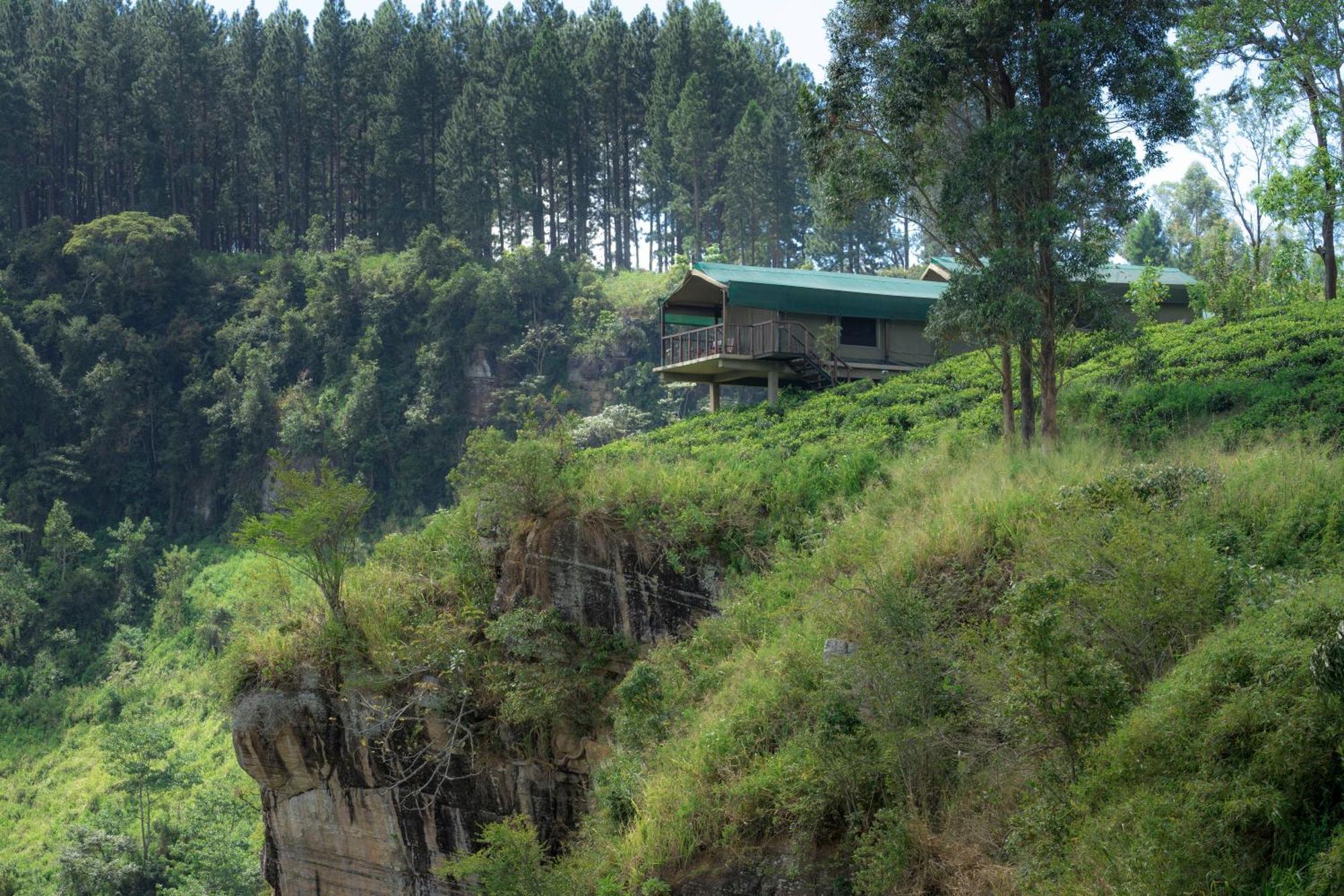 Madulkelle Tea And Eco Lodge Канди Екстериор снимка