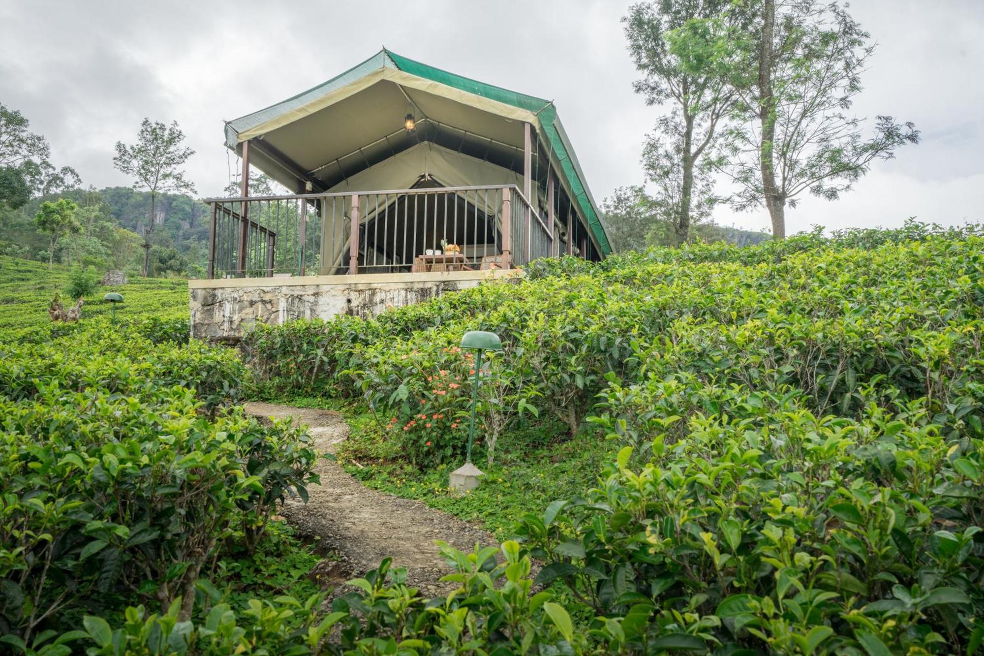 Madulkelle Tea And Eco Lodge Канди Екстериор снимка