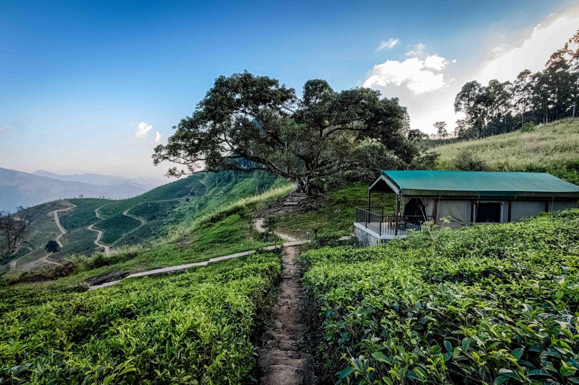 Madulkelle Tea And Eco Lodge Канди Екстериор снимка