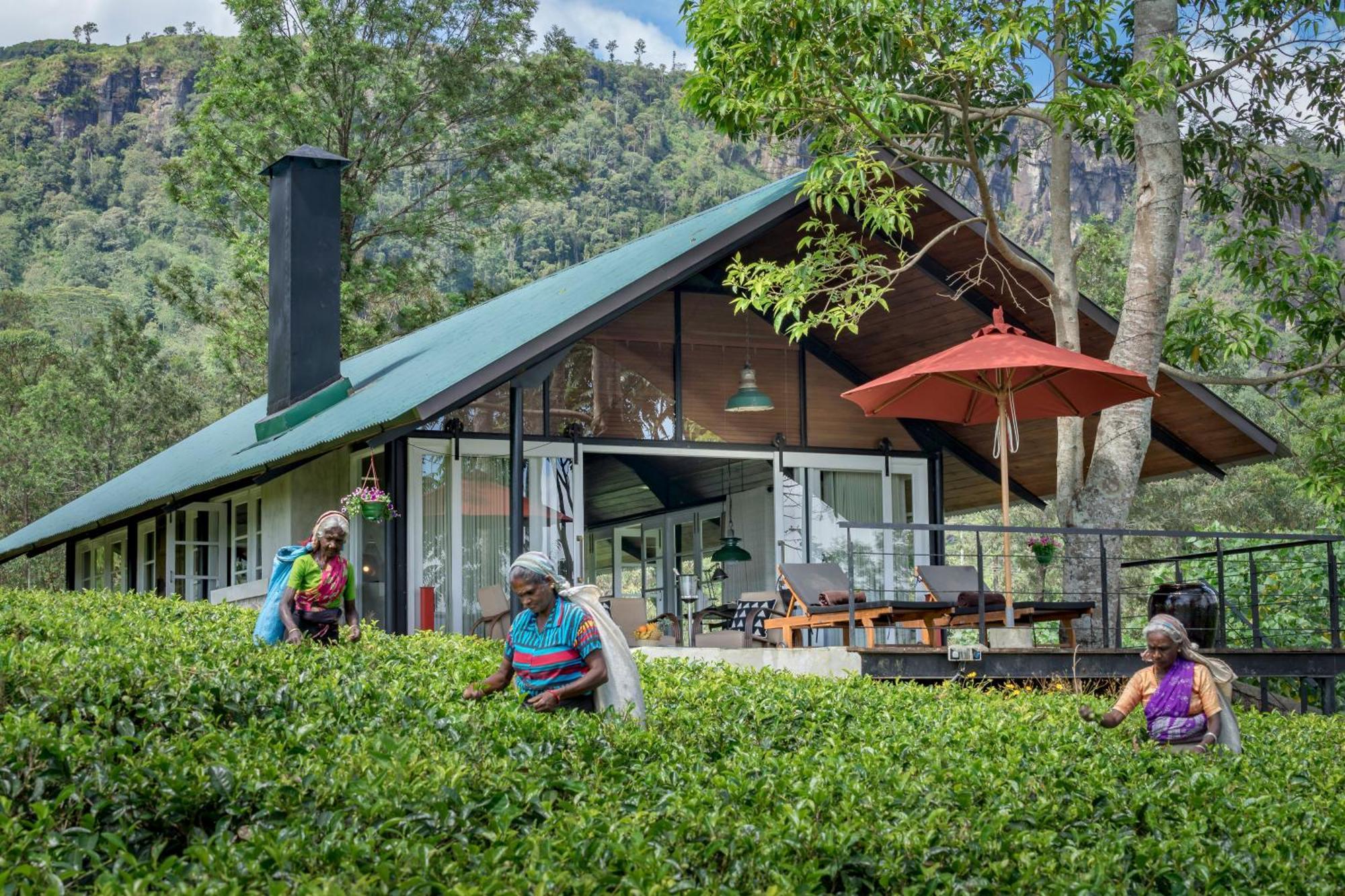 Madulkelle Tea And Eco Lodge Канди Екстериор снимка